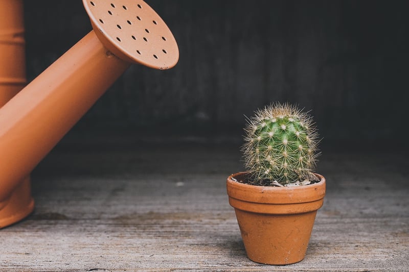 Watering Tools