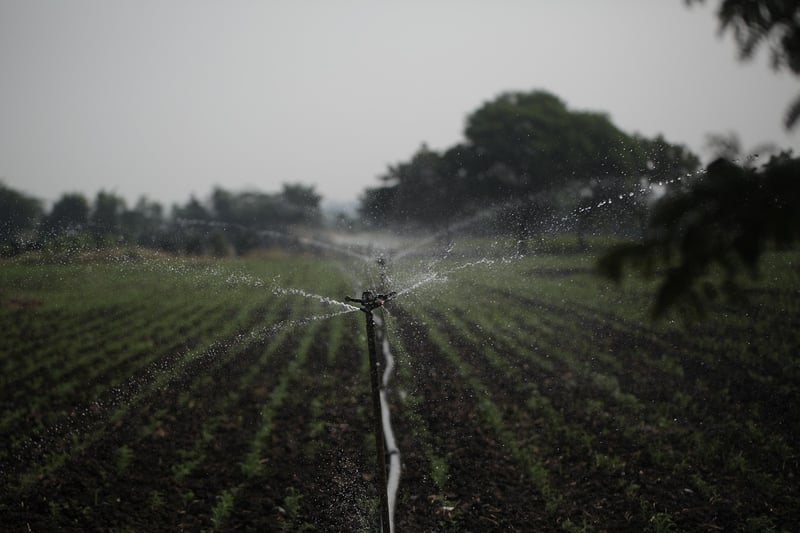 Sprinkler System